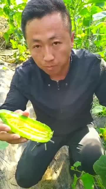 好友们吃瓜吧,那些年我们一起“瓜”过的日子